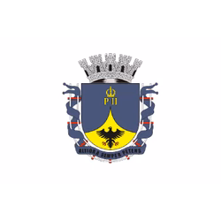 SEO em Petrópolis - RJ