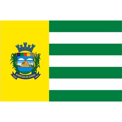 Bandeira de Goiânia