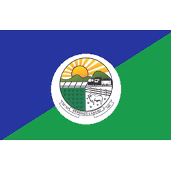 Bandeira de Senador Canedo
