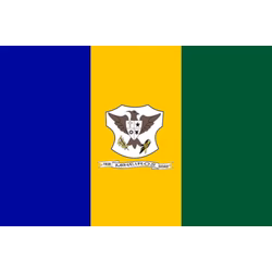 Bandeira de Mineiros