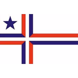 Bandeira de Palotina