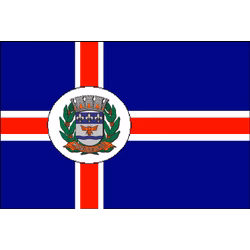 Bandeira de Mandaguari