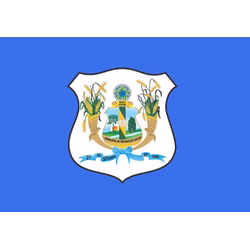 Bandeira de São Mateus do Sul