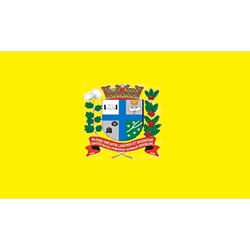 Bandeira de Paranavaí