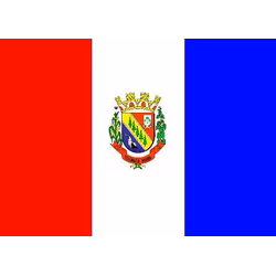 Bandeira de Telêmaco Borba