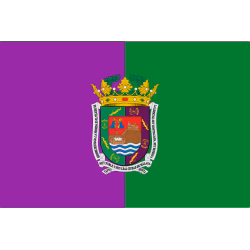SEO en Málaga