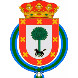 SEO en Palma