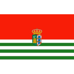 SEO en Puebla