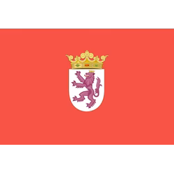 SEO en León