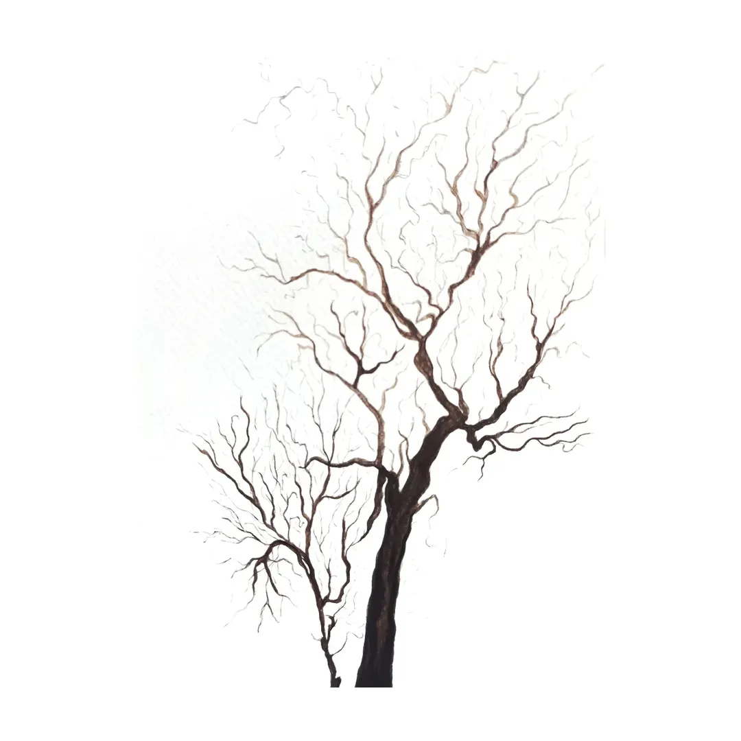 Darjeeling tree 