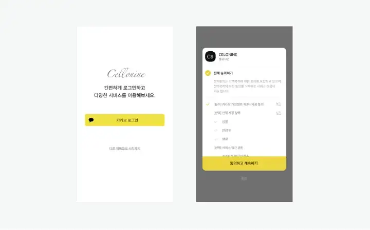 kakao login example