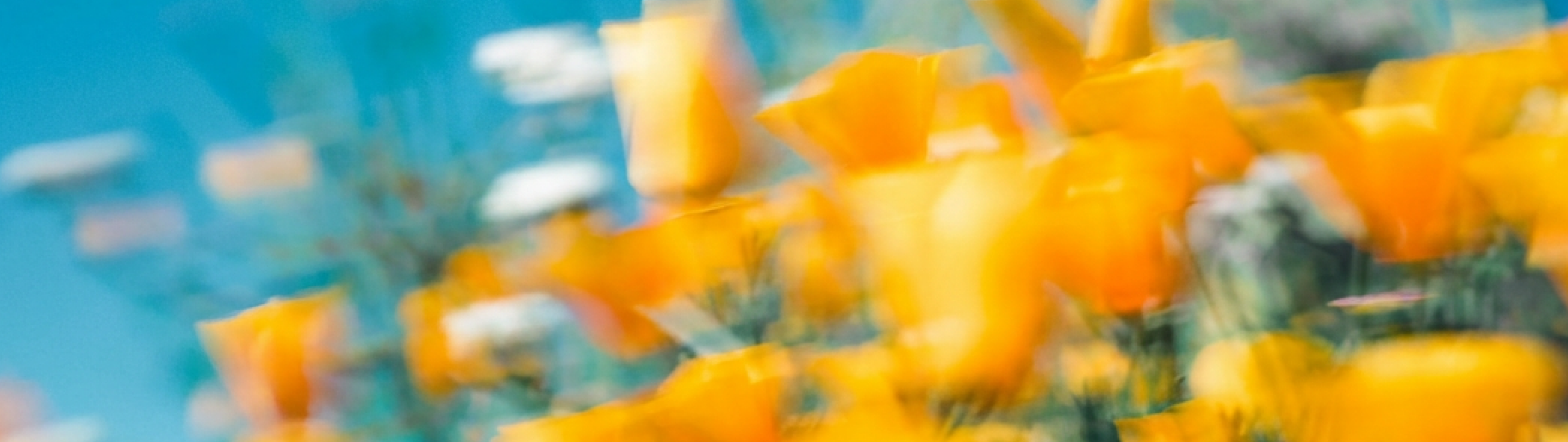 Colorful abstract background