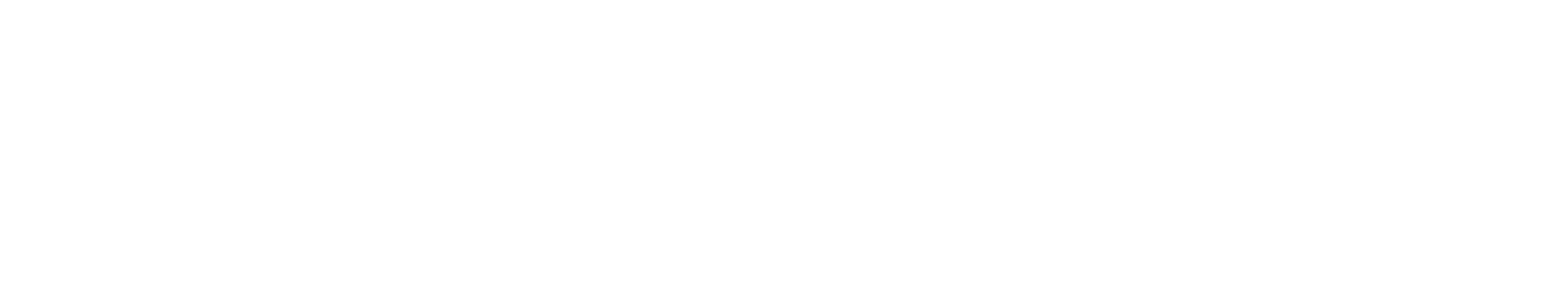 EURO BANNER