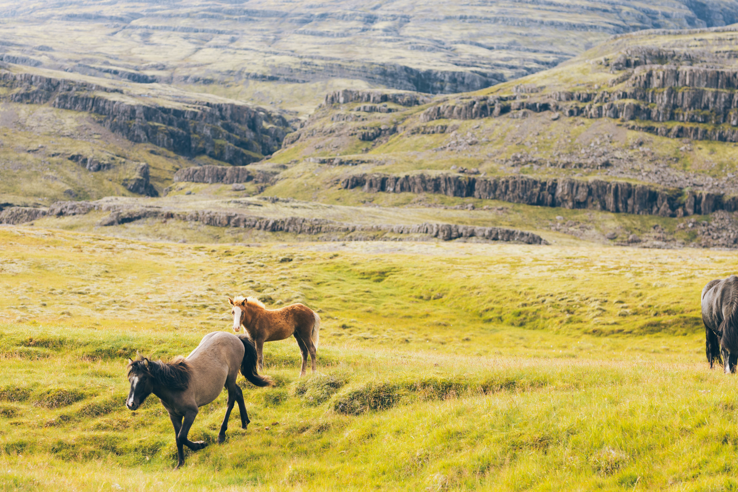 Iceland