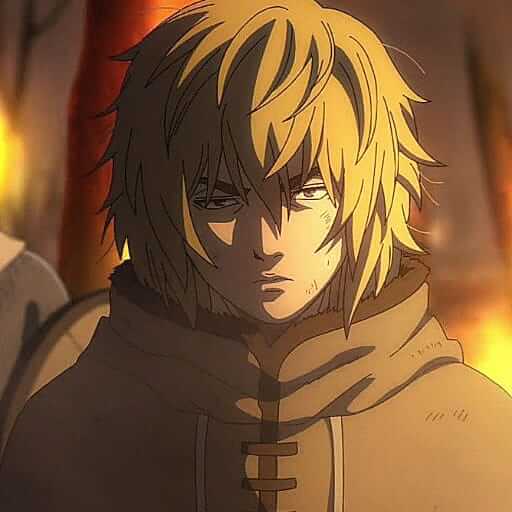 11 Thorfinn Karlsefni PFP (Vinland Saga) PFP