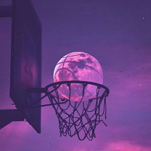 20 Basketball PFP PFP