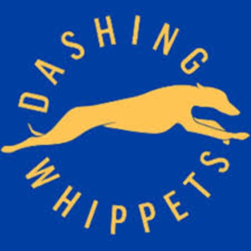 Dashing Whippets Runners