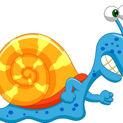 NCR Trail Snails