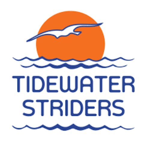 Tidewater Striders