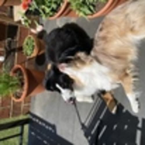 Woodbury Running Group