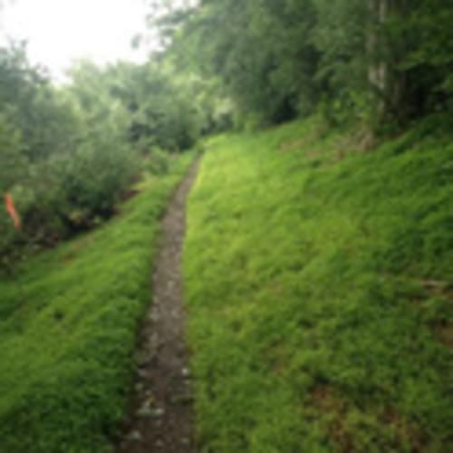 Lehigh Valley Trail Runners