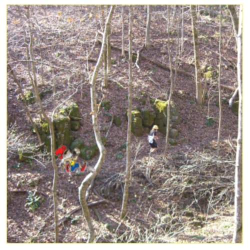 Ozark Trail 100 Mile Endurance Run