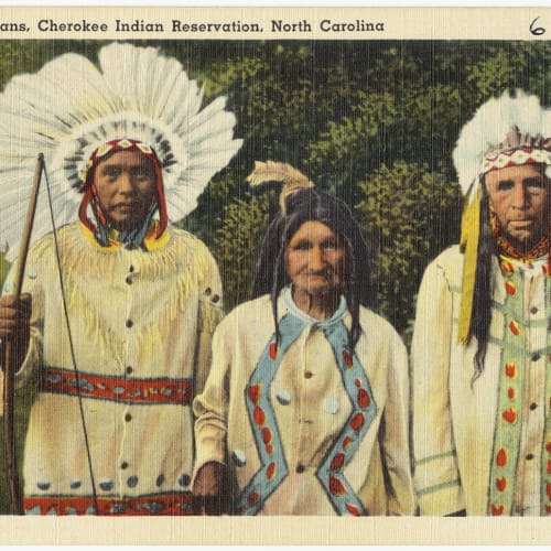 The Cherokee