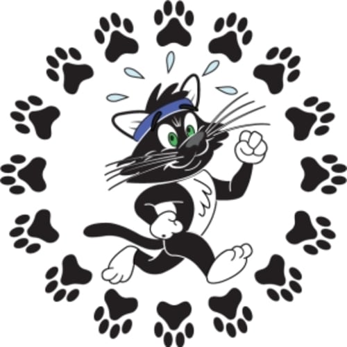 Tina's Cat Run