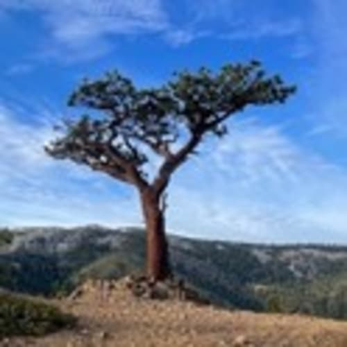 Washoe County Mountain Trail Runners