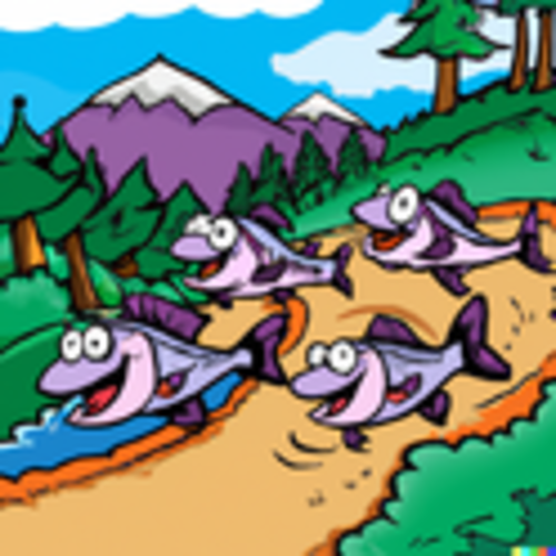 Salmon Run Club