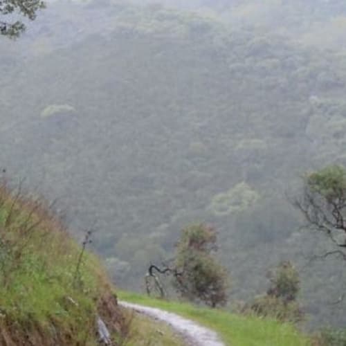 Rancho Hills Trail Run - Summer