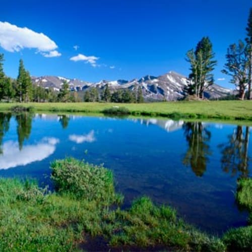 Yosemite: Tuolumne Meadows