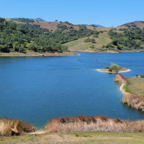 South Hills Single Track Trail Run - Summer
