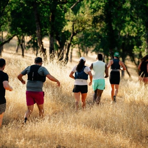 Sunset & Cider Trail Races