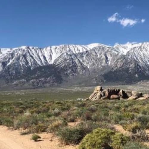 Wild Wild West Marathon & Ultra