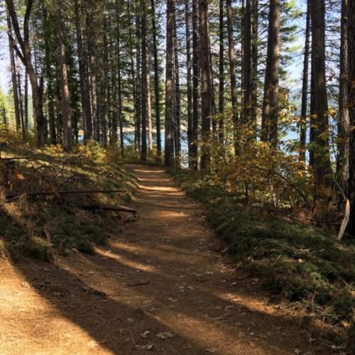 Trail Run at Sly Park - Fall