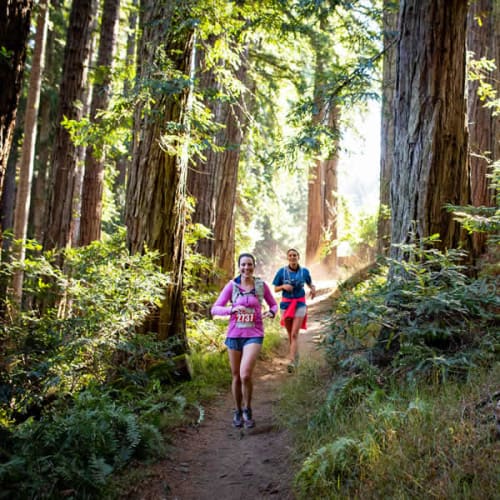 Mt. Tam Trail Run