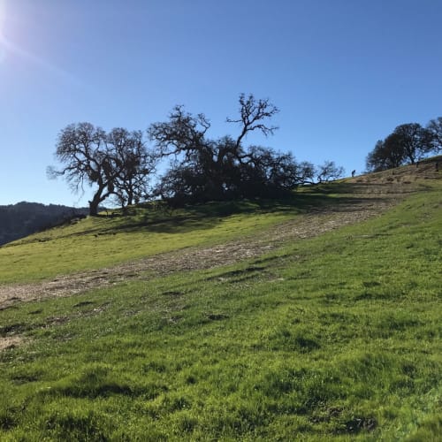 Calero Trail Run - Winter
