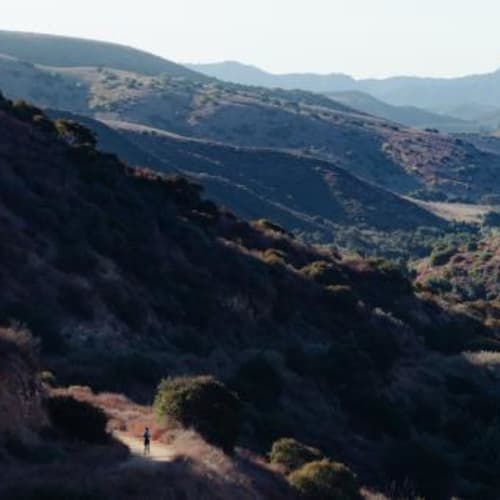 Cheeseboro Canyon Trail Run