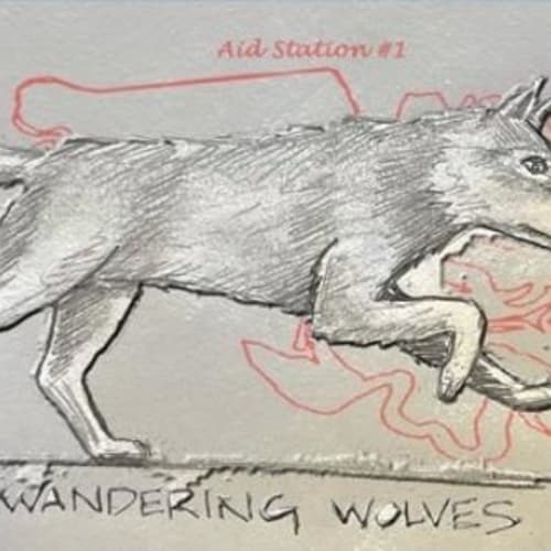 Wandering Wolves 50k/25k/12k