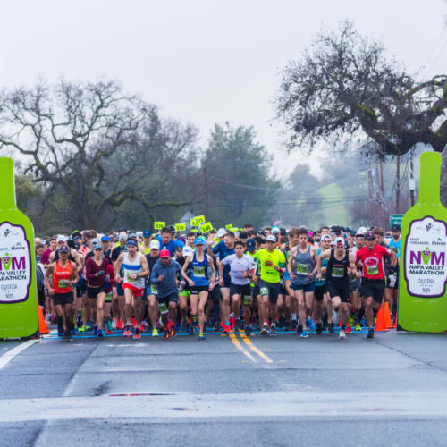 Napa Half Marathon