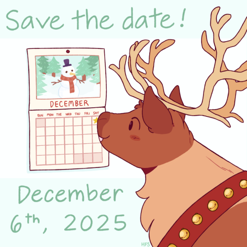 15th Annual Reindeer Run/walk