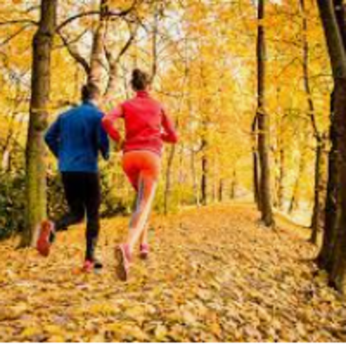 Fall Freedom 5k Run/walk Hillsdale