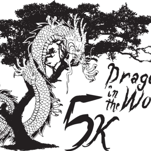 Dragons In The Woods