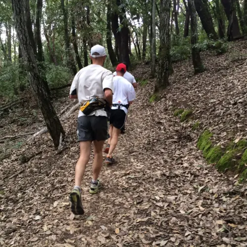 Peninsula-South Bay-&-More! Trail Running