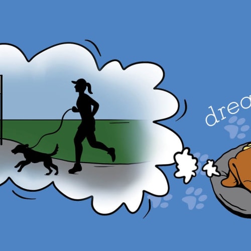 Doggie Dash & Dawdle 2026