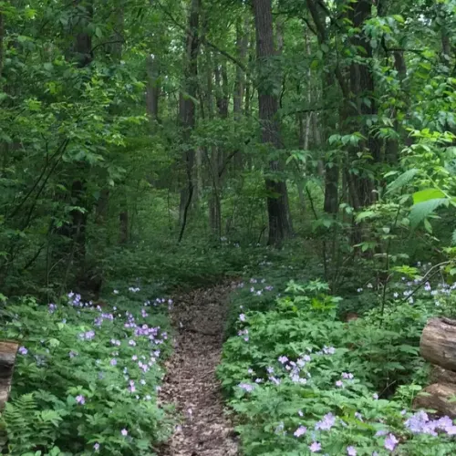 Glacial Trail Runners of Greater Milwaukee