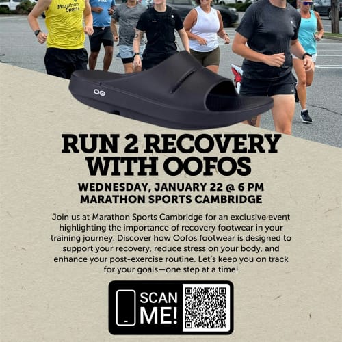 Run 2 Recovery
