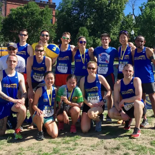 Dashing Whippets Running Team - Boston Chapter