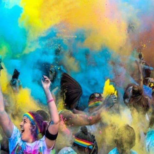 Color Me Berkeley 5k